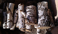Березовые дрова для растопки печи